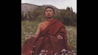 Garab Dorjes 3 Statements Dzogchen Teachings by Garchen Rinpoche 27 [upl. by Sila]