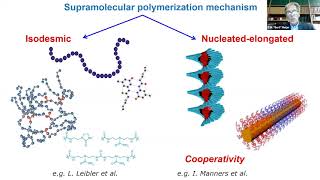 EW Meijer quotFunctional Supramolecular Systems and Materialsquot [upl. by Cleopatra]