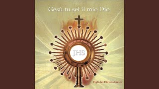 Spirito Santo Illuminami [upl. by Jacques995]