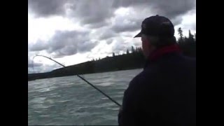 King Salmon Fishing Alaska With ProGuide Mark Glassmaker [upl. by Yelyr931]