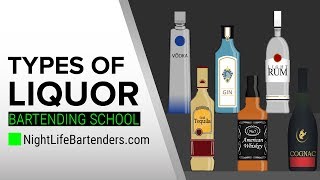 Types of Liquor  Bartending School [upl. by Publus]