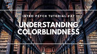 Understanding Colorblindness Intro Psych Tutorial 47 [upl. by Chipman]