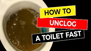 How to Unclog a Toilet Fast 🚽 [upl. by Goat]