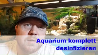 Aquarium komplett desinfizieren Worst case Fischtuberkulose [upl. by Ethyl989]