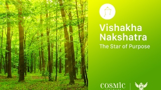 Vishaka Nakshatra Stellar Mind Programing Technique [upl. by Adekan191]