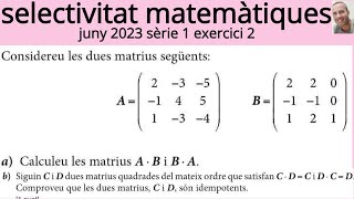 examen PAU selectivitat matemàtiques juny 2023 sèrie 1 exercici 2 matrius [upl. by Searle]