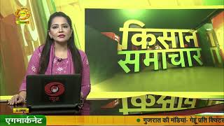 Watch latest news coverage on DD Kisans daily news bulletin Kisan Samachar  October 30 2024 [upl. by Nossah]