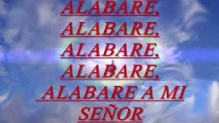 ALABARE A MI SENOR wmv [upl. by Tanney]