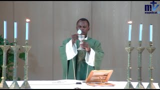 La Sainte Messe du jour  Mercredi 29ème Semaine du T O 23102024 P Achille José Nkomo B FM [upl. by Htebazil]