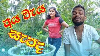 අය වැය සැපද  Aya waya sepada [upl. by Aihsile]