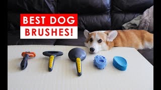 BEST DOG BRUSHES FOR SHEDDING AND HEALTHY FUR HAIR [upl. by Schmitz330]