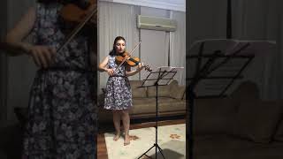 Suzuki Violin Book 1Song of the Wind [upl. by Alister517]