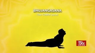 PM Modi shares animated video of Bhujangasana promotes yoga [upl. by Cl]