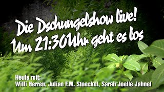 Die große BILDDschungelshow im LiveStream  18012016 [upl. by Jeniffer195]