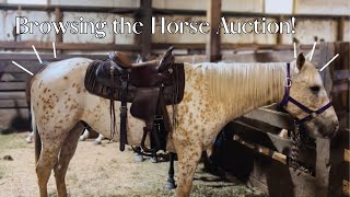 HUGE HORSE AND TACK AUCTION Tack haul VLOG [upl. by Kevon708]