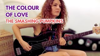 The Colour of Love Bass Cover  The Smashing Pumpkins [upl. by Lucey118]