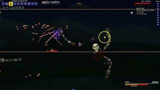 Calamity Mod Skeletron in Death Mode No Hit [upl. by Nanam]