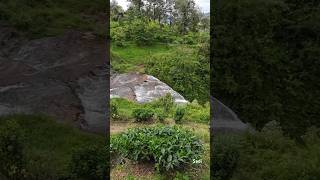 Top view of Dunsinane waterfall  Pundaluoya 🏞️ nature travel asiancountry nuwaraeliya [upl. by Valaree622]