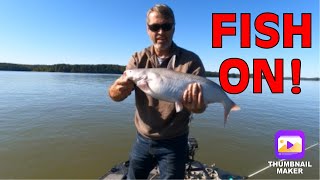 SANTEE COOPER RIG VS KENTUCKY DROP RIG  Catfishing on Lake Barkley [upl. by Nolyad]