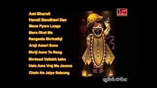 Shrinathji Satsang  Top 10 Songs  Maara Ghat Ma Birajta Shrinathji [upl. by Joycelin]