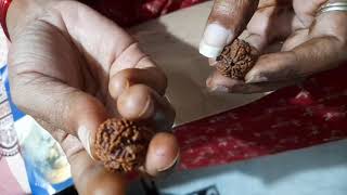 Unboxing Isha Rudraksha diksha [upl. by Vinay]