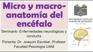 Introducción a la macroanatomía y microanatomía del encéfalo Dolencias neurológicas y conducta [upl. by Anuahsar769]