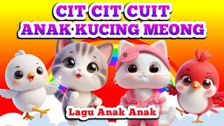 CIT CIT CUIT  ANAK KUCING MEONG MEONG  Lagu Anak Anak  Lagu Anak Balita  Nine Kids [upl. by Ivel239]