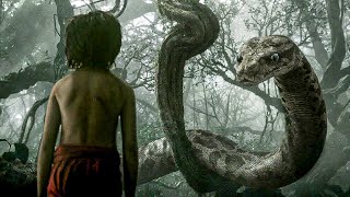 THE JUNGLE BOOK  Mowgli  Full Length Episode 1  English KIDFLIX [upl. by Myer500]