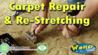 Best Carpet Repair Stretching amp Restretching Services in Fort lauderdale FL Call 8007321229 [upl. by Obadias677]