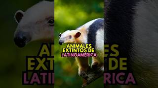 🦕🌎 Animales Extintos de Latinoamérica 🦖 [upl. by Renado]