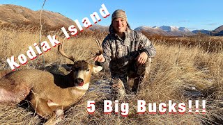 S20Ep1 Self Guided Blacktail Hunt on Kodiak Island 5 Bucks [upl. by Sgninnej]