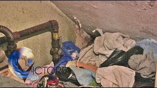 Ratinfested home Im afraid for my child  BBC News [upl. by Ebeohp995]