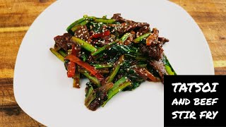 Tatsoi And Beef Stir Fry Recipe [upl. by Karlyn]