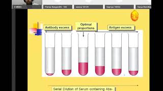 microbiologyAntigen and Antibody Reactions20200427 0540 1 [upl. by Ahsoym]