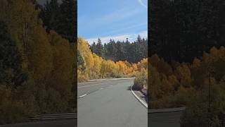 Beautiful Fall Colors in Lake Tahoe [upl. by Garth]