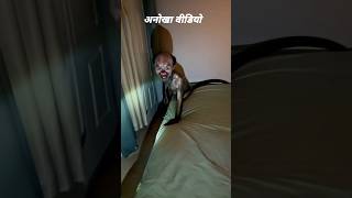 Ye keya hi viral trending funny video [upl. by Amees947]