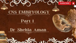 CNS EMBRYOLOGY  Spinal cord Neural Tube defects  Dr Shehla Aman [upl. by Yllim981]