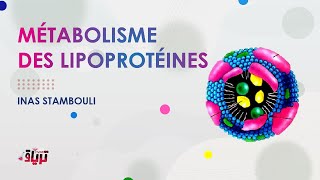 Biochimie  MÉTABOLISME DES LIPOPROTÉINES par INAS STAMBOULI [upl. by Sualkin]