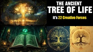 The Ancient Tree of Life and its 22 Creative Forces [upl. by Gupta]