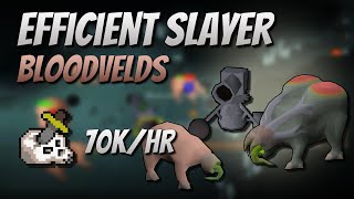 Efficient Bloodvelds Slayer with Cannon 70K Slayer ExpHr [upl. by Nedla976]