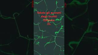 Valutazione account XL [upl. by Rafaelof]