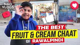 FRUIT CHAAT amp CREAM CHAAT OF RAWALPINDI  Rawalpindi Street Food  MUMTAZ REFRESHMENT RAWALPINDI [upl. by Delphine116]