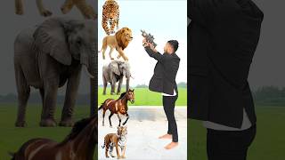 Wild Animals To Wild Animals names Talking shorts mmmrazz funny comedy [upl. by King709]