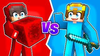 Cash’s COLOR vs Nico’s COLOR In Minecraft [upl. by Maro]