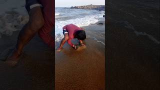 Catching Mole Crabs with Empty Hand fishing fishingvideos thoondilulagam seafishing [upl. by Jaddo]