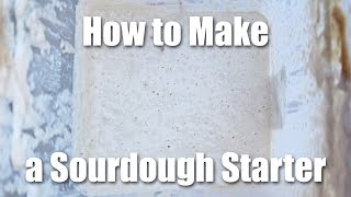 How To Make A Sourdough Starter  Video Recipe [upl. by Putscher]