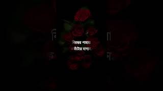 Srotoshini  স্রোতস্বিনী  Encore  Srotoshinni lyrics  bangla song lyrics  shorts  STAR MUSIC [upl. by Bergstrom119]