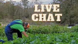 Higher FOOD PRICES  What Can You GROW NOW  Live Chat [upl. by Foulk]