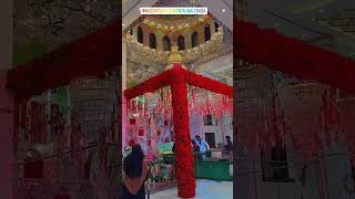 Dar par tumhare aaye hai  aaqaﷺ muslimstatus youtubeshorts islamicvideo viralvideo [upl. by Obola]