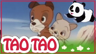 Tao Tao  épisode 31  La grande promenade  Episode complet [upl. by Bruning]